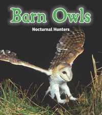 Barn Owls