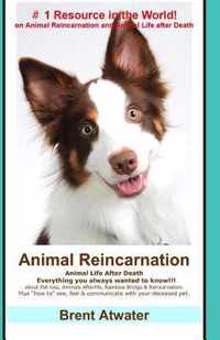 Animal Reincarnation