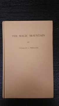 The Magic Mountain