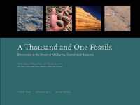 A Thousand and One Fossils  Discoveries in the Desert at Al Gharboa, United Arab Emirates