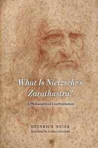 What is Nietzsche`s Zarathustra? - A Philosophical Confrontation