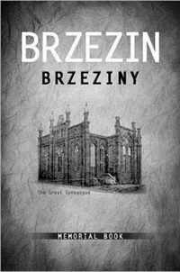 Brzezin Memorial Book