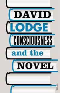 Consciousness And The Novel