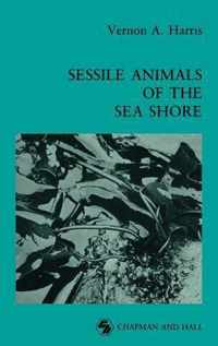 Sessile Animals of the Sea Shore