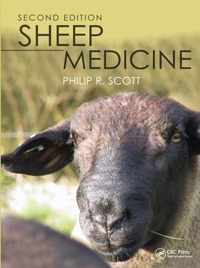 Sheep Medicine