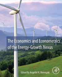 The Economics and Econometrics of the Energy-Growth Nexus