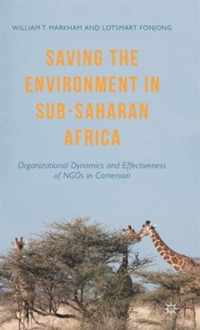 Saving the Environment in Sub-Saharan Africa