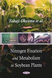 Nitrogen Fixation & Metabolism in Soybean Plants