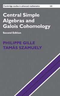 Central Simple Algebras and Galois Cohomology