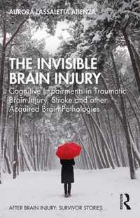 The Invisible Brain Injury