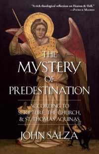 The Mystery of Predestination