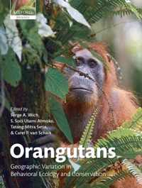 Orangutans