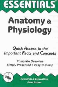 Anatomy and Physiology Essentials