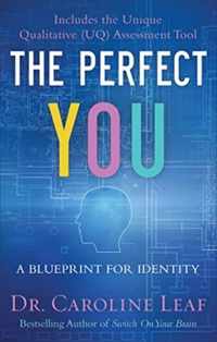 The Perfect You - A Blueprint for Identity