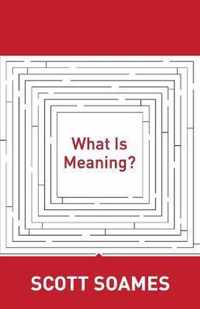 What Is Meaning?