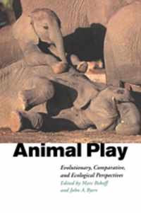 Animal Play