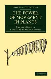 The Power of Movement in Plants