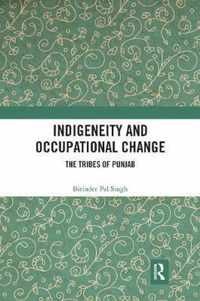 Indigeneity and Occupational Change: The Tribes of Punjab