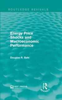 Energy Price Shocks and Macroeconomic Performance