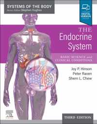 The Endocrine System