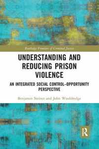 Understanding and Reducing Prison Violence