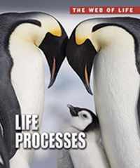 Life Processes