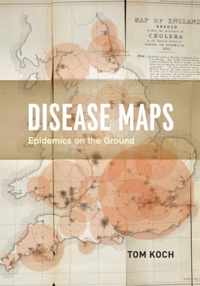 Disease Maps: Epidemics on the Ground