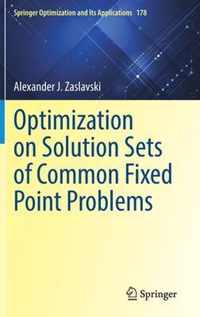 Optimization on Solution Sets of Common Fixed Point Problems