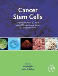 Cancer Stem Cells