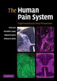 Human Pain System