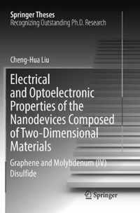 Electrical and Optoelectronic Properties of the Nanodevices Composed of Two-Dimensional Materials