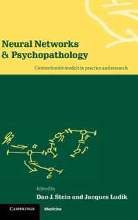 Neural Networks and Psychopathology