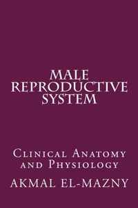 Male Reproductive System