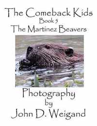 The Comeback Kids, Book 5, The Martinez Beavers