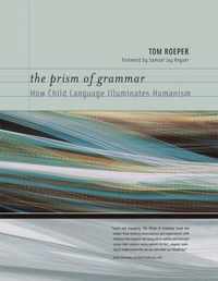 Prism Of Grammar