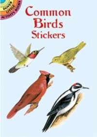 Common Birds Stickers