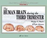 The Human Brain During the Third Trimester