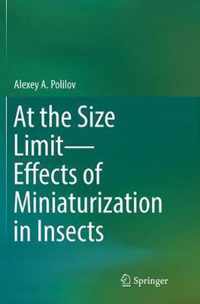 At the Size Limit - Effects of Miniaturization in Insects