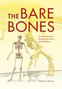 The Bare Bones