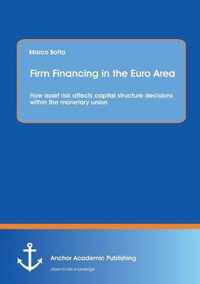 Firm Financing in the Euro Area