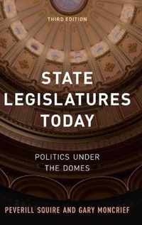 State Legislatures Today Politics under the Domes, Third Edition