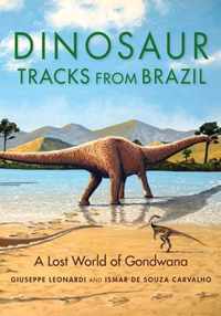 Dinosaur Tracks from Brazil