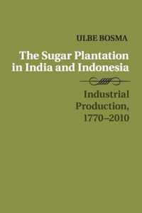 Sugar Plantation in India and Indonesia