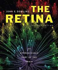 The Retina