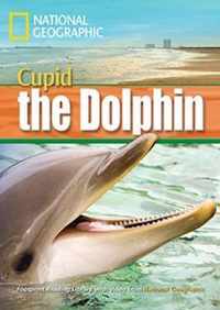 A Dolphin Named Cupid