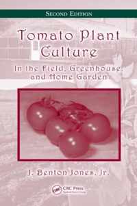 Tomato Plant Culture