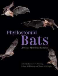 Phyllostomid Bats