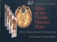 National Library Of Medicine Atlas Of The Visible Human Male