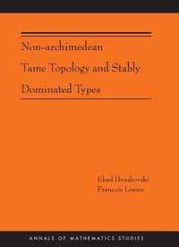 Non-Archimedean Tame Topology and Stably Dominated Types (AM-192)