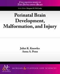 Perinatal Brain Development, Malformation, and Injury